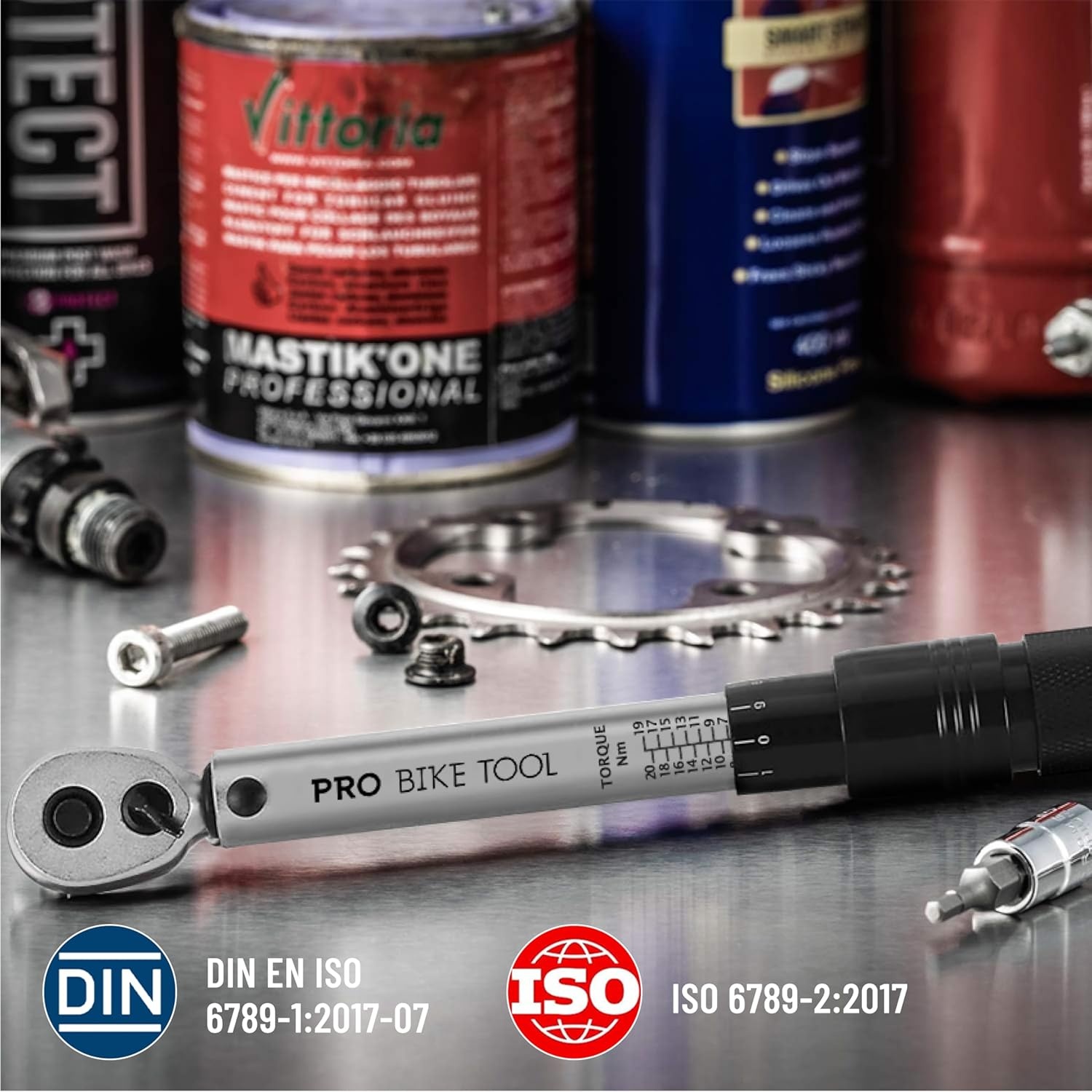 PRO BIKE TOOL 1/4 Inch Drive Click Bicycle Torque Wrench Set – 2 to 20 Nm – Maintenance Kit for Road and Mountain Bikes – Includes Allen and Torx Screws, Extension Bar and Storage Box – ISO Certified